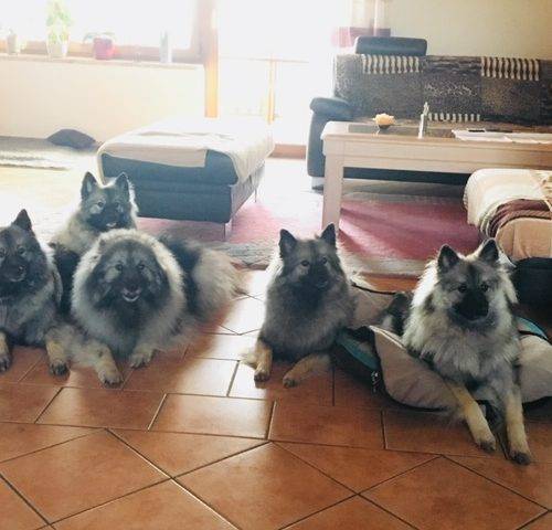 Urlaub mit Spitzen – Februar 2018