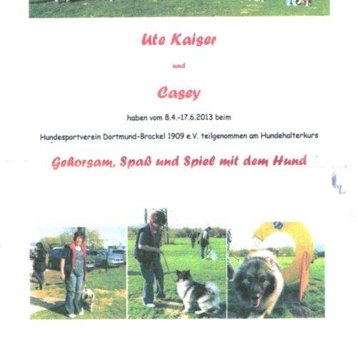 Casey hat Freude an der Arbeit