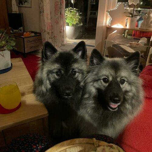 Verschiedenes Oktober 2021