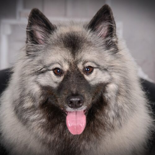 Aimee‘ Lara  Oktober 2021