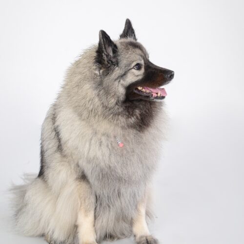 Aimee‘ Lara Dezember 2021