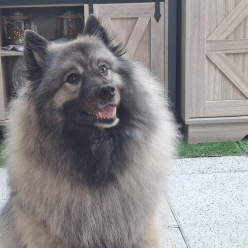 image1 Grey Kaiser‘s Aimee‘ Lara hat ihr Lachen wieder